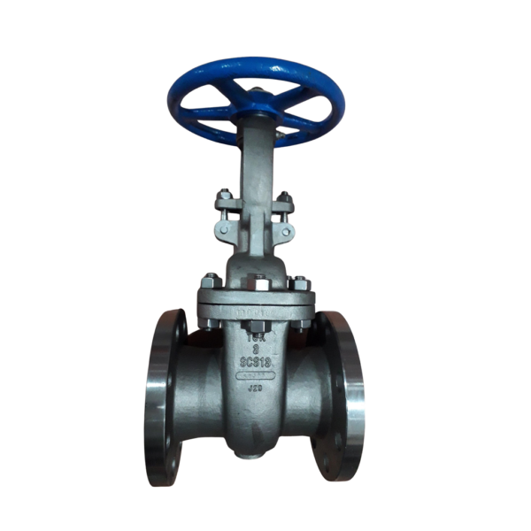 Van cổng ty nổi inox 304 Arita DN50-DN200 chính hãng giá tốt